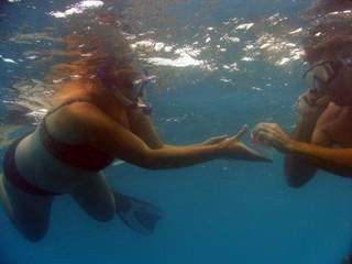 Snorkeling in Barbados