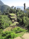 Looking down on the lower levels of La Ciudad Perdida from the higher part.
