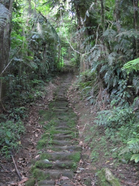 One of many routes up to Ciudad Perdida