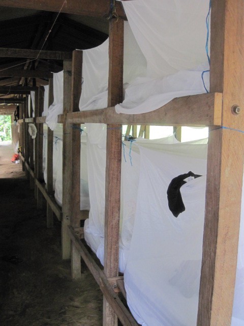 Mosquito nets over bunk beds at Cabana 2
