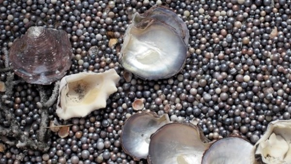 Pearls in the garden