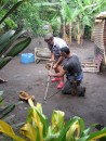 Tia shows Andy  how to de- husk a coconut