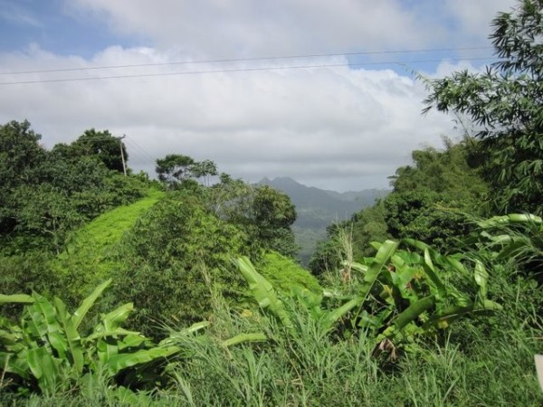 A green and pleasant landscape