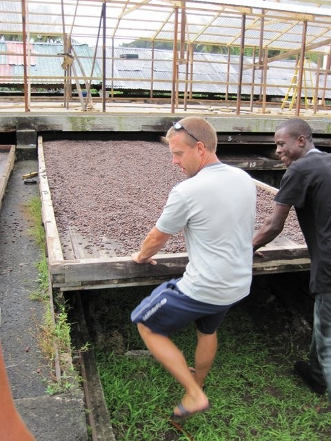 Stuart (Ocean lady) helps pull out a tray of cocoa beans for drying