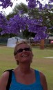 Sue admires the Jacaranda blossom