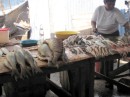 The fish market in Santa Marta.