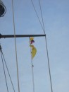 Colombian courtesy flag above the yellow "Q" Flag requesting Free Pratique as we approach our first South American port