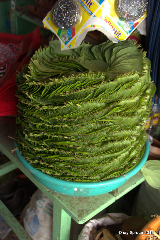 Betel nut leaves for chewing( I think )
