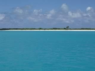Various shades of blue punctuated by mangroves and underlined by a white ribbon.