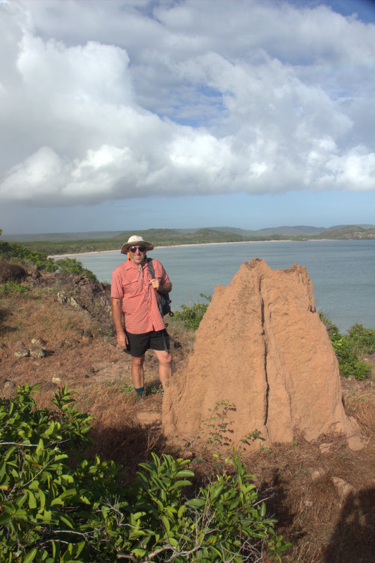 A Huge termite mound on Cape York.