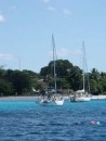 The anchorage in Carlisle Bay, Barbados. The nearest vessel is Pete Jones