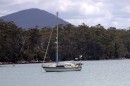 Spruce at anchore in Recherche bay Tasmania