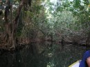The Indian River is where parts of Pirates of the Caribbean was filmed!.JPG