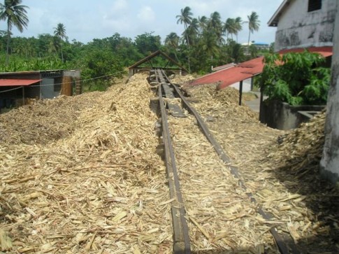 A railcar  transports the crushed sugar cane to the next building where the  crushed cane is used to heat the cane juice.JPG