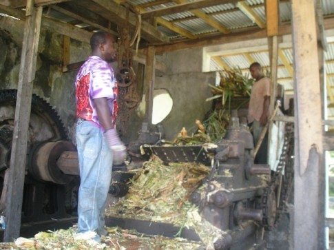 The sugar cane is being crushed for the juice..JPG