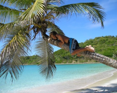 h Daniel trying to master the art of coconut tree climbing.JPG
