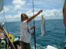 Daniel pulls in a mackerel HEAD while sailing to Culebra in the Spanish Virgin Islands!