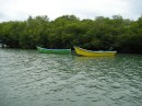 Colorful fishing boats in the mangroves.