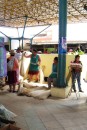 Market day in Chordeleg (Sunday). The market here was smaller market than the one in Chordeleg. Local women sell the materials that are used to make Panama hats, which are leaves of the toquilla straw plant. 