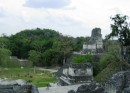 Tikal - Grand Plaza and Temple II (Temple of the Masks) as seen from the North Acropolis. 