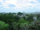 Tikal Temple IV - View from atop Temple IV, also knows as the Temple of the Two Headed Snake. Simply a spectacular view. 