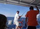 Fish killing was on!  Dave caught several tuna and a Dorado!