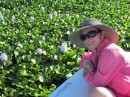 Dee admiring the water hyacinth.  Actually, they are a real problem up here, clogging up the channels. 