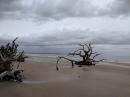 Driftwood Beach, Jekyll Island GA