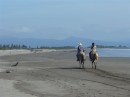 Horses on the beach San Blas Feb 2014