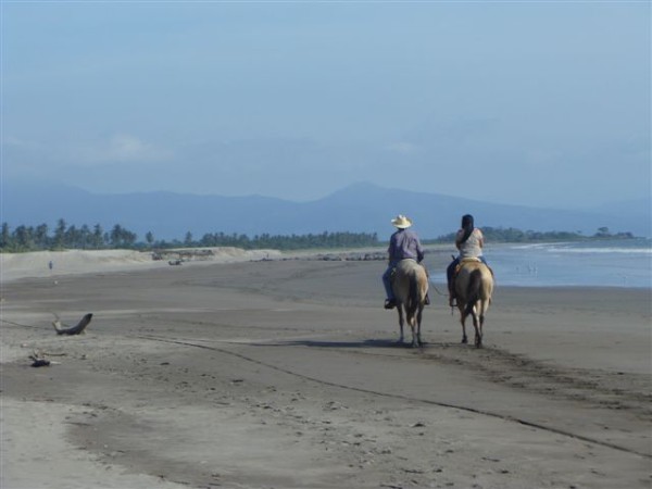Horses on the beach San Blas Feb 2014