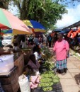 The betel nut department at the Gizo market