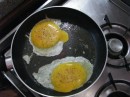 Fried megapode eggs. Check out those yolks!