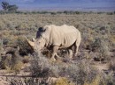 We saw three rhinos at the Game Reserve.  They were a bit smaller than the ones we saw at the National Park.