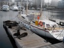 The sea lions graciously guarded s/v Ruby while they were away in France