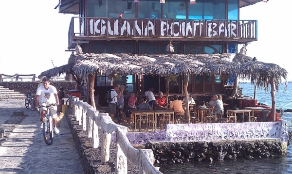 The Iguana point bar where iguanas joined you for happy hour