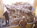 Men processing the sugar cane at the factory