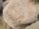 Petroglyphs - Bahia Coyote