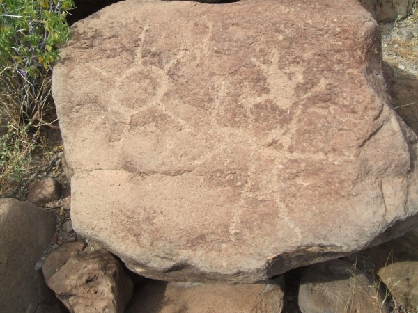 Petroglyphs - Bahia Coyote