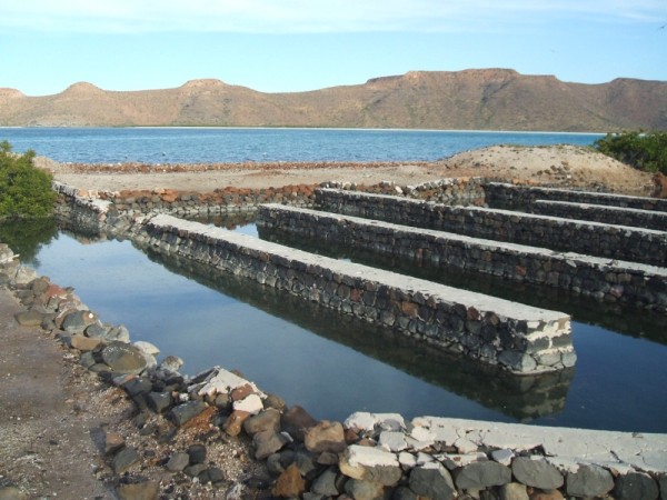 Abandoned aquaculture - Bahia San Gabriel