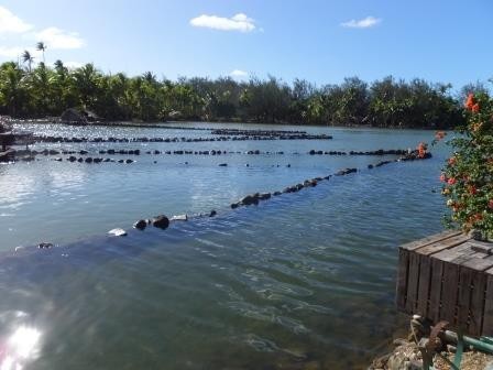 Ancient Polynesian fish traps