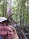 Giant Kauri tree.  Check out the very civilized hiking 