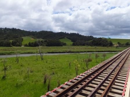 Riding the rails to Kawakawa
