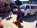 Shopping for chickens in Flores
