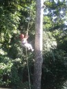 Honoree on the Tarzan swing.