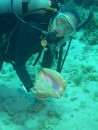 Picking up a conch to show the pretty pink color on it