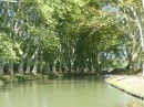 The plane trees line the canal almost the entire length.