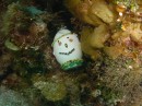 Easter egg at the bottom of the ocean