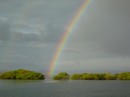 Finding the end of the rainbow in Bocas