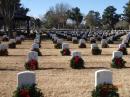 Wreaths across America: The federal cemetery in New Bern with a wreath on every grave.  Was a terrific commemorative display.