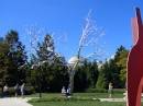 A stainless steel tree at the sculpture garden.